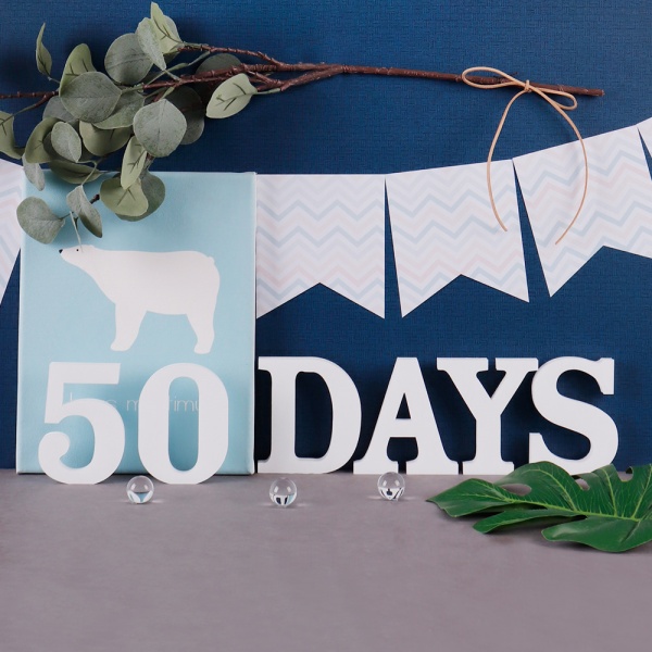 폼보드 50DAYS 이니셜폼패브릭 신생아 셀프촬영레터 아이방꾸미기 폼보드 50DAYS 이니셜폼패브릭 신생아 셀프촬영레터 아이방꾸미기