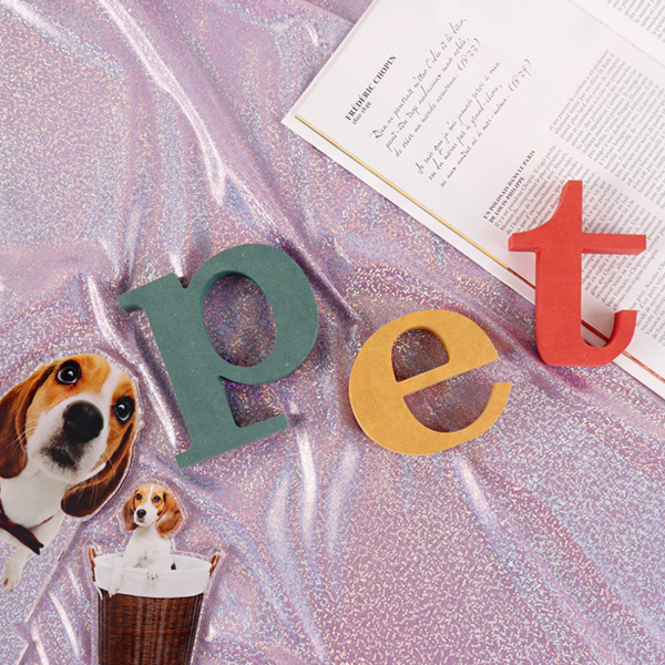 pet PET 세트 컬러 MDF 에코보드 펫 알파벳 이니셜 입체문자