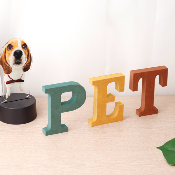pet PET 세트 컬러 MDF 에코보드 펫 알파벳 이니셜 입체문자