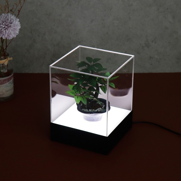 LED 아크릴 전시 케이스 정사각 무드등 DF0150C 조명 디스플레이 상자