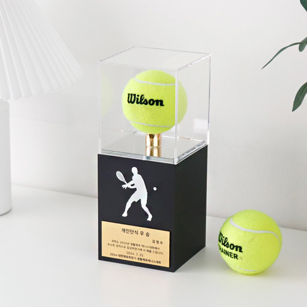 테니스공 전시 케이스 사인볼 기념볼 보관진열장