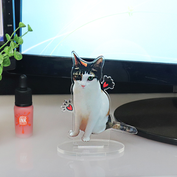 애완동물 실물등신대 POP제작 탁상용 미니액자 주문제작