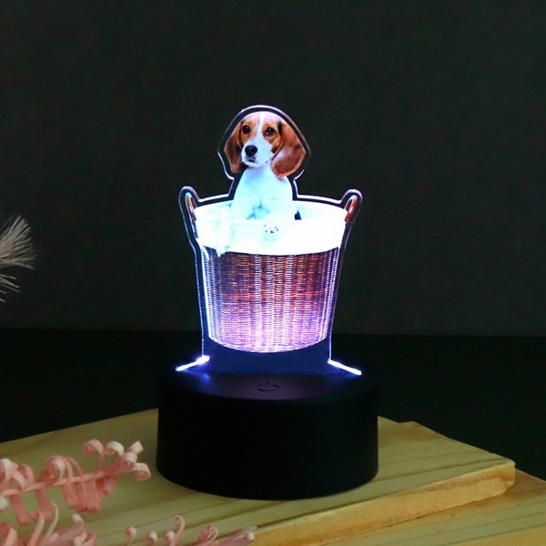 아크릴 LED 포토 등신대 귀여운 동물사진 장식스탠드조명 인테리어