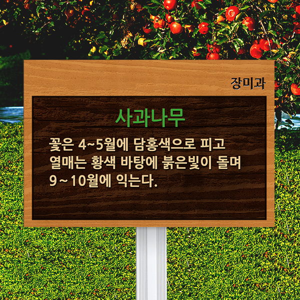 수목표찰 고정형 180x120 알루미늄대 나무무늬 효과 꽂이형