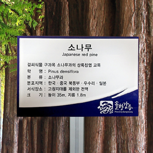 수목표찰 고정형 180x120 알루미늄대 청색2단 꽂이형