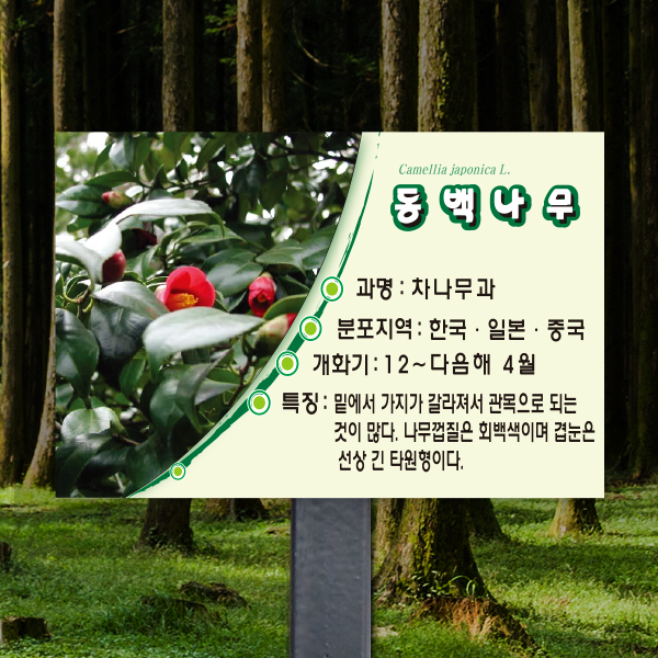 수목표찰 고정형 180x120 스틸검정 라운드 사각 꽂이형