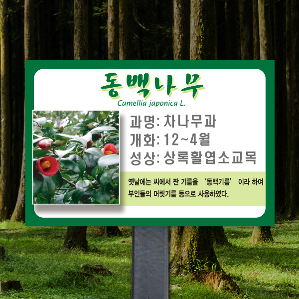 수목표찰 고정형 180x120 스틸검정 녹색테두리 사각 꽂이형