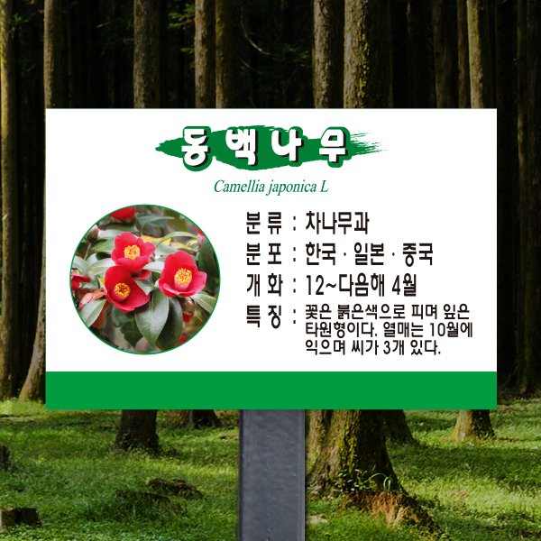 수목표찰 고정형 180x120 스틸검정 녹색띠 사각 꽂이형