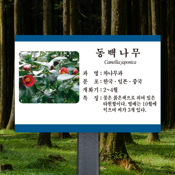 수목표찰 고정형 180x120 스틸검정 청록색띠 사각 꽂이형