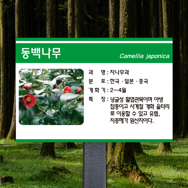 수목표찰 고정형 180x120 스틸검정 초록3띠 사각 꽂이형