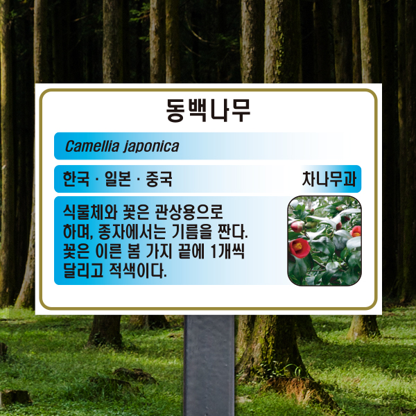 수목표찰 고정형 180x120 스틸검정 하늘색 사각 꽂이형