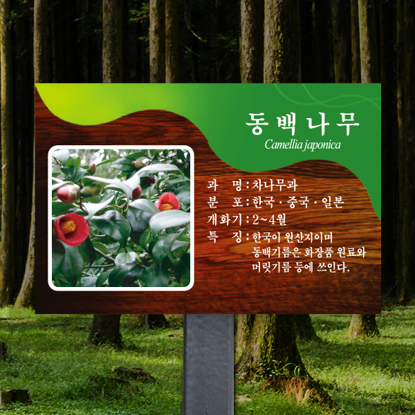 수목표찰 고정형 180x120 스틸검정 체리목 사각 꽂이형