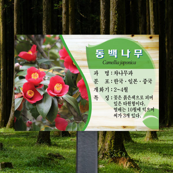 수목표찰 고정형 180x120 스틸검정 미송 사각 꽂이형