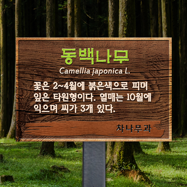 수목표찰 고정형 180x120 스틸검정 우드효과 사각 꽂이형