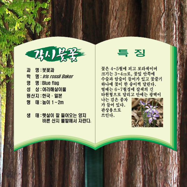 수목표찰 고정형 233x165 스틸검정 책모양 꽂이형