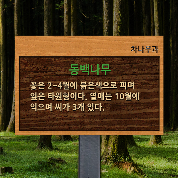 수목표찰 고정형 180x120 스틸검정 나무무늬 효과 꽂이형