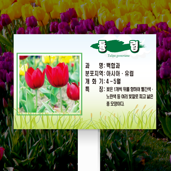 수목표찰 고정형 180x120 포맥스대 풀밭 사각 꽂이형