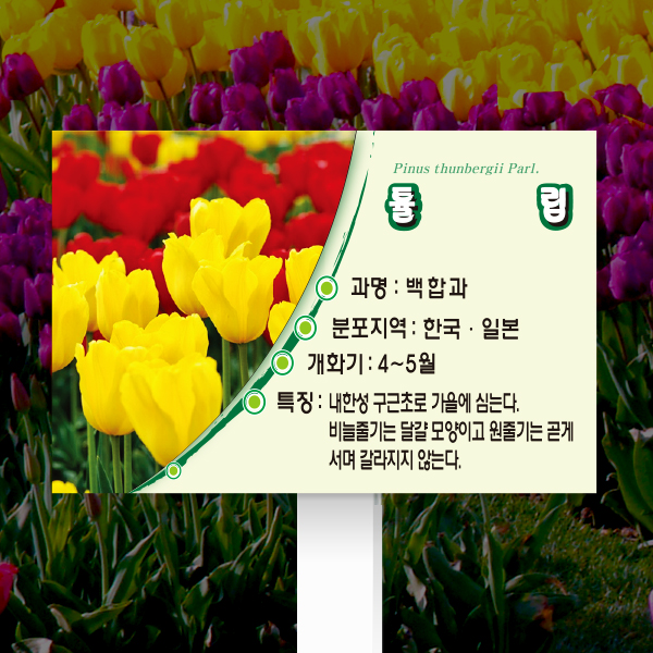 수목표찰 고정형 180x120 포맥스대 라운드 사각 꽂이형