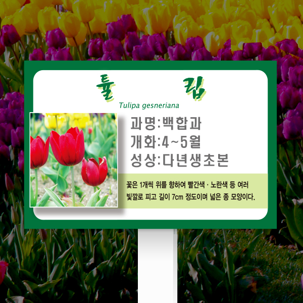 수목표찰 고정형 180x120 포맥스대 녹색테두리 사각 꽂이형