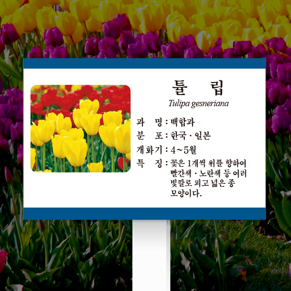 수목표찰 고정형 180x120 포맥스대 청록색띠 사각 꽂이형