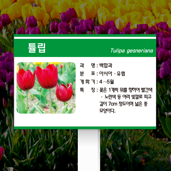 수목표찰 고정형 180x120 포맥스대 초록3띠 사각 꽂이형