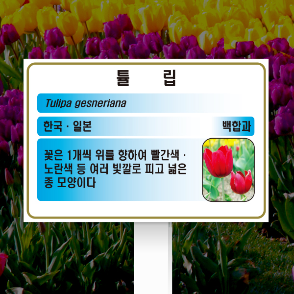 수목표찰 고정형 180x120 포맥스대 하늘색 사각 꽂이형