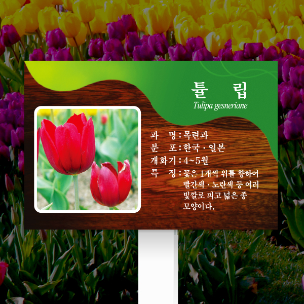 수목표찰 고정형 180x120 포맥스대 체리목 사각 꽂이형