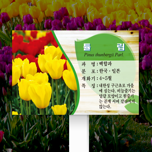 수목표찰 고정형 180x120 포맥스대 미송 사각 꽂이형