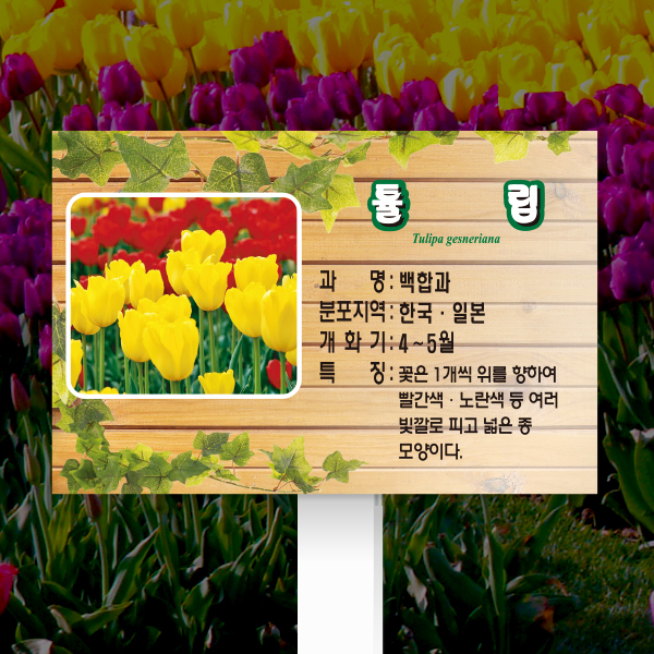 수목표찰 고정형 180x120 포맥스대 덩굴 사각 꽂이형