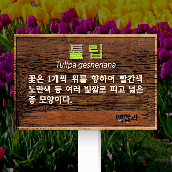 수목표찰 고정형 180x120 포맥스대 우드효과 사각 꽂이형