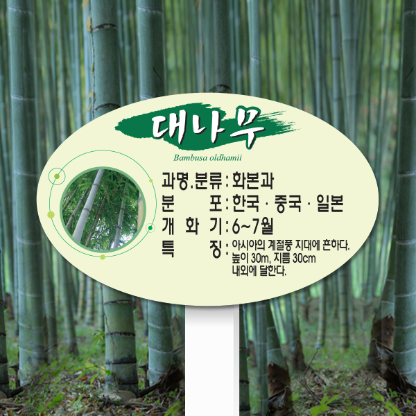 수목표찰 고정형 200x125 포맥스대 단아체 타원 꽂이형