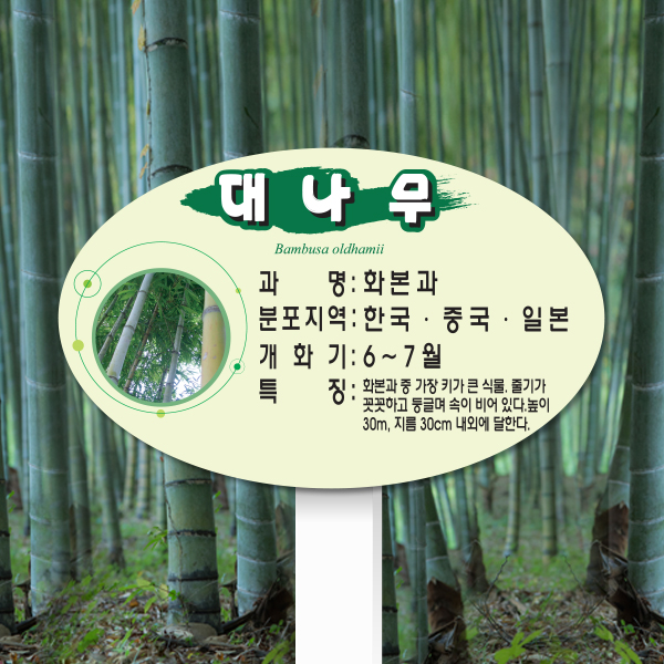 수목표찰 고정형 200x125 포맥스대 평붓체 타원 꽂이형
