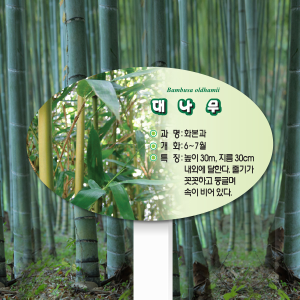 수목표찰 고정형 200x125 포맥스대 포샵사진 타원 꽂이형