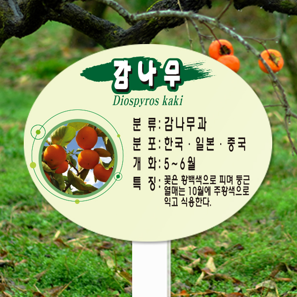 수목표찰 고정형 200x160 포맥스대 타원 꽂이형