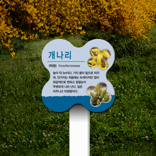 수목표찰 고정형 140x140 포맥스대 꽃모양 꽂이형