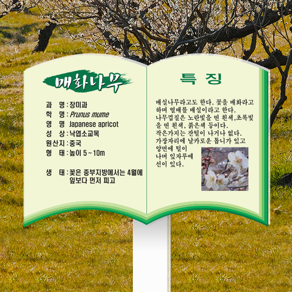 수목표찰 고정형 233x165 포맥스대 책모양 꽂이형