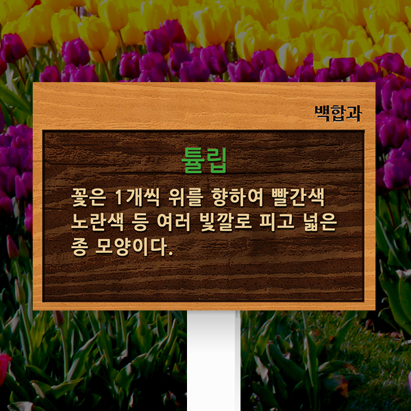 수목표찰 고정형 180x120 포맥스대 나무무늬 효과 꽂이형