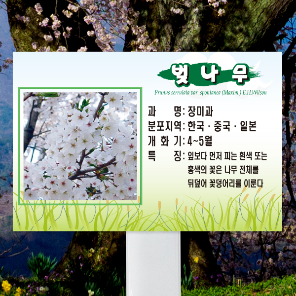 수목표찰 고정형 225x150 스틸대 풀밭사각 꽂이형