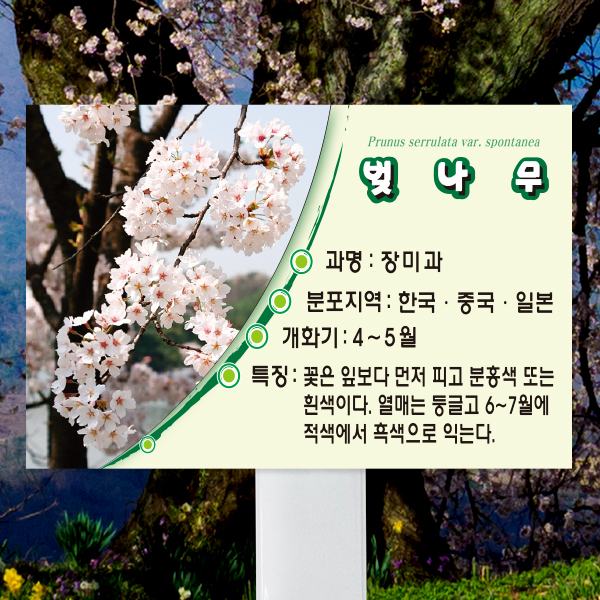 수목표찰 고정형 225x150 스틸대 라운드사각 꽂이형