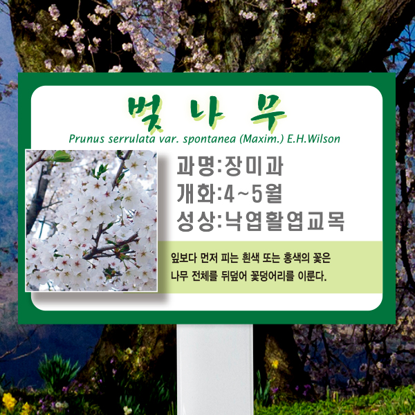 수목표찰 고정형 225x150 스틸대 녹색테두리사각 꽂이형
