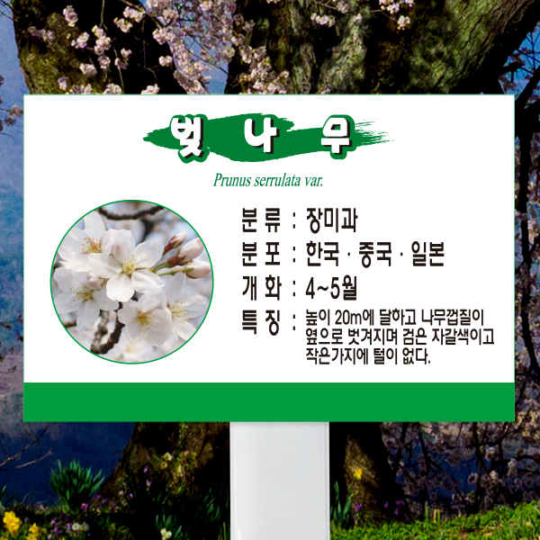 수목표찰 고정형 225x150 스틸대 녹색띠 사각 꽂이형