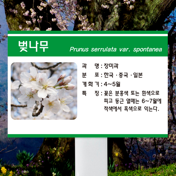 수목표찰 고정형 225x150 스틸대 초록3띠 사각 꽂이형