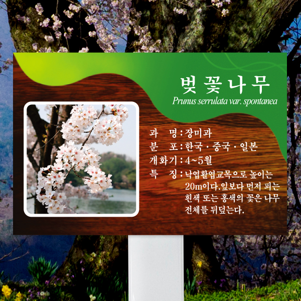 수목표찰 고정형 225x150 스틸대 체리목 사각 꽂이형