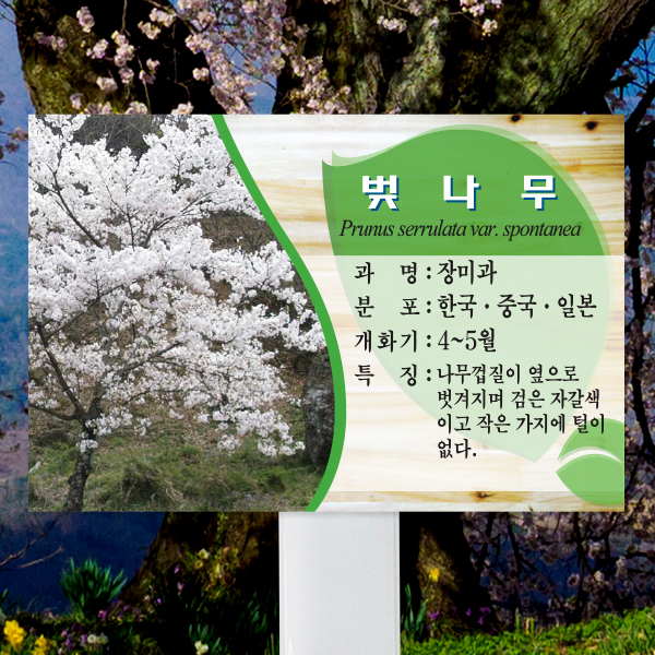 수목표찰 고정형 225x150 스틸대 미송 사각 꽂이형