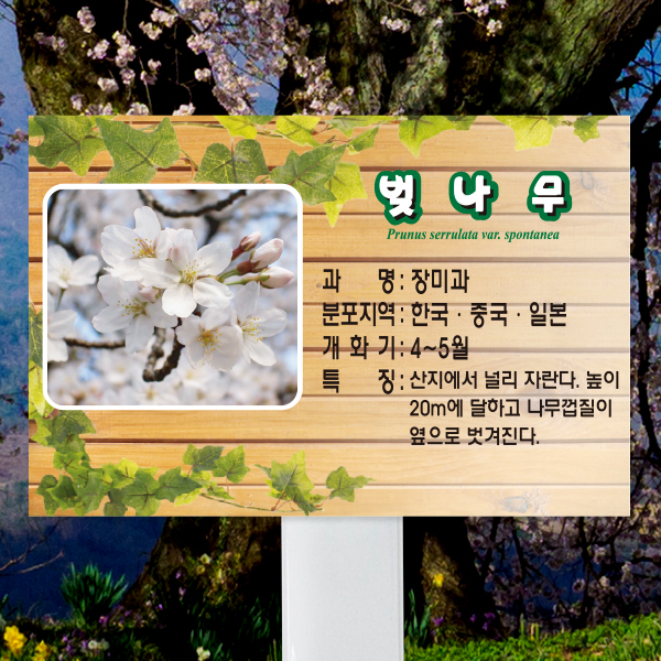 수목표찰 고정형 225x150 스틸대 덩굴 사각 꽂이형