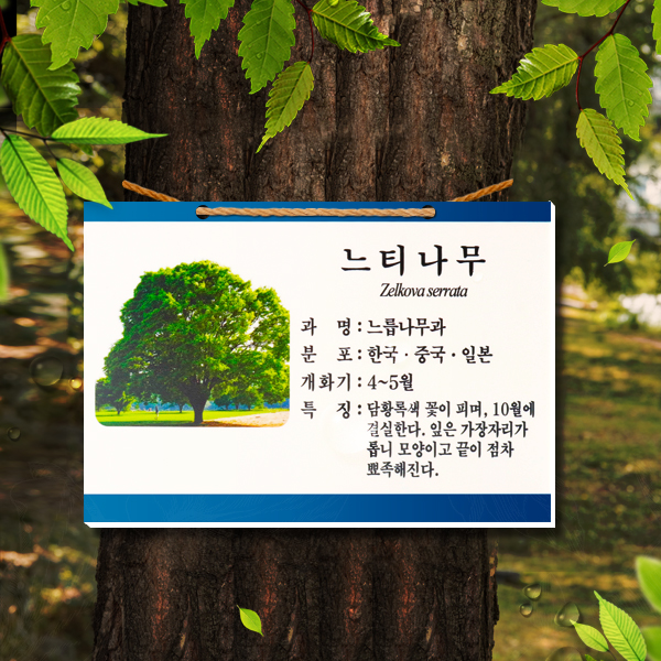 수목표찰 부착형 180x120 청록색띠 사각 걸이형 타공