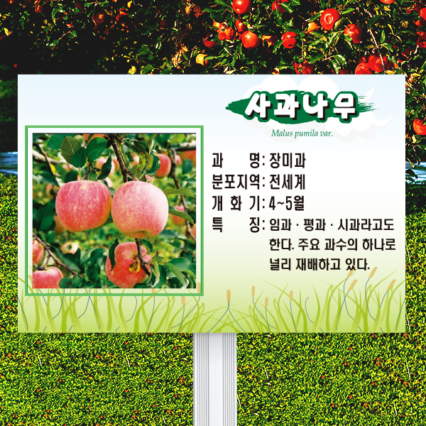수목표찰 고정형 225x150 알루미늄대 풀밭 사각 꽂이형