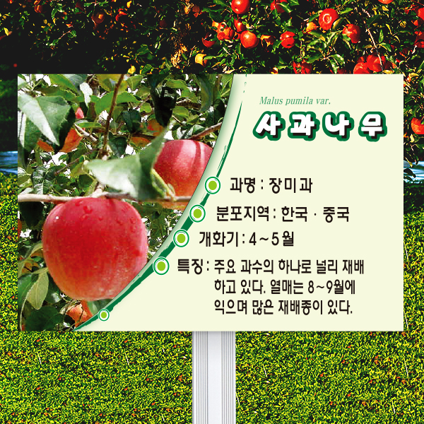 수목표찰 고정형 225x150 알루미늄대 라운드 사각 꽂이형