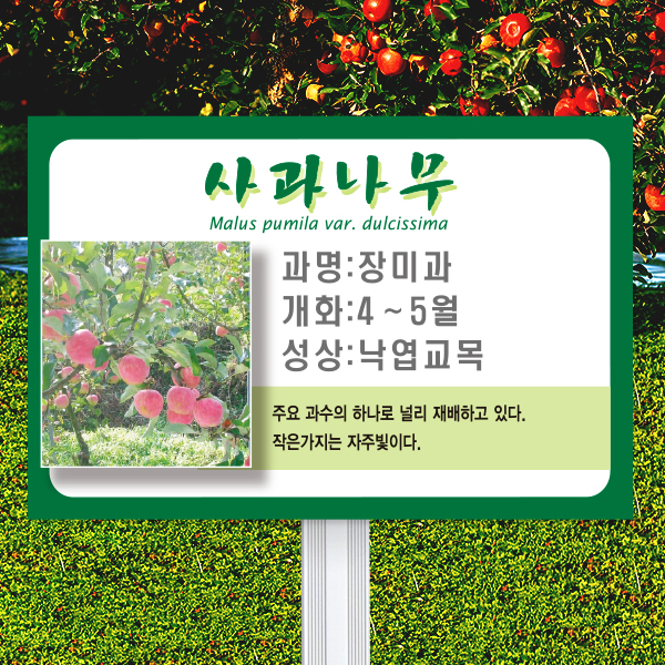 수목표찰 고정형 225x150 알루미늄대 녹색테두리 사각 꽂이형