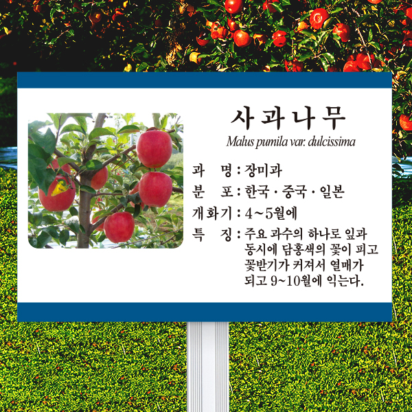 수목표찰 고정형 225x150 알루미늄대 청록색띠 사각 꽂이형